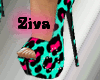 {Z} Leopard Shoes