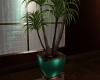 (SL) Sienna Plant