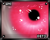 [PETS] Sove | eyes