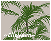 Lux Tall Fern w Vase
