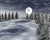 Winter wedding blue/snow