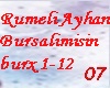 Rumeli Ayhan Bursalimisn