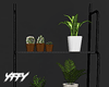 Plants Rack