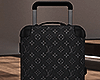 Luggage #1