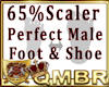 QMBR 65% Scaler Shoe Ft
