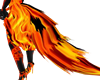 Fires Furry Tail