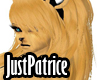 <JP> Lioness Hair Female