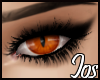 Jos~ Cat Eye: Orange