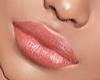 Perfect Lip gloss