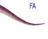 chimera tail long