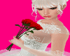 Red Bride Roses