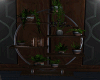 MODERN PLANTS