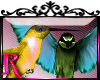 *R* Hummingbird Enhancer
