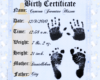 Birth Certificate Custom