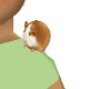(A) Hamster Pet