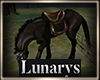 horse 1 SNK