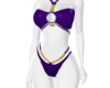 Bella Purple Bikini