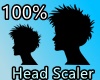 100% HEAD SCALER