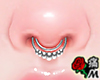 蝶 Silver Septum