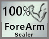 Scaler 100% ForeArm M A