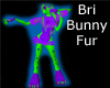 Bri-Bunny