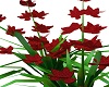 Red flower 3D