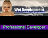 Professional Developer