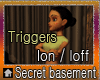 Secret basement 