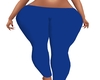 Blue low Rise Leggings