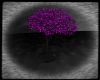 Star Tree Animated