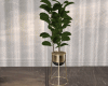 DER: Ficus Stand Pot