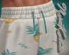 James summer shorts