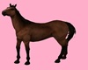 Running Horse Brown
