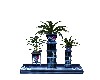 PLANTS BIUTIFULL
