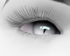STORMY CAT EYES