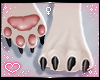 ˏˋ✧ Furry Paws 