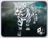 [ACS] WHITE TIGER