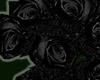 Bundle Black Roses