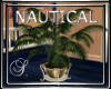 (SL) Nautical Plant