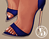 |Luxury| D/Blue Heels