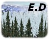 E.D SNOW FOREST