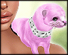 PET  Ferret Animated