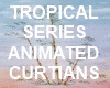 (S1)Tropical Curtians