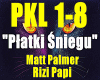 Platki sniegu-M.Pallmer.