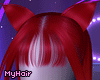 kitten red