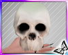 !! Raider Skull 2