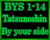 Tatsu - By your side