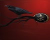 Crow[ Wall]Decor