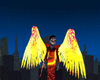 Animated Fire  Angel