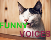 <<  FUNNY VOICES >>